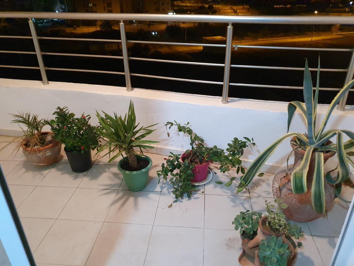 Appartement S+1 Jardin De Carthage 튀니스 외부 사진